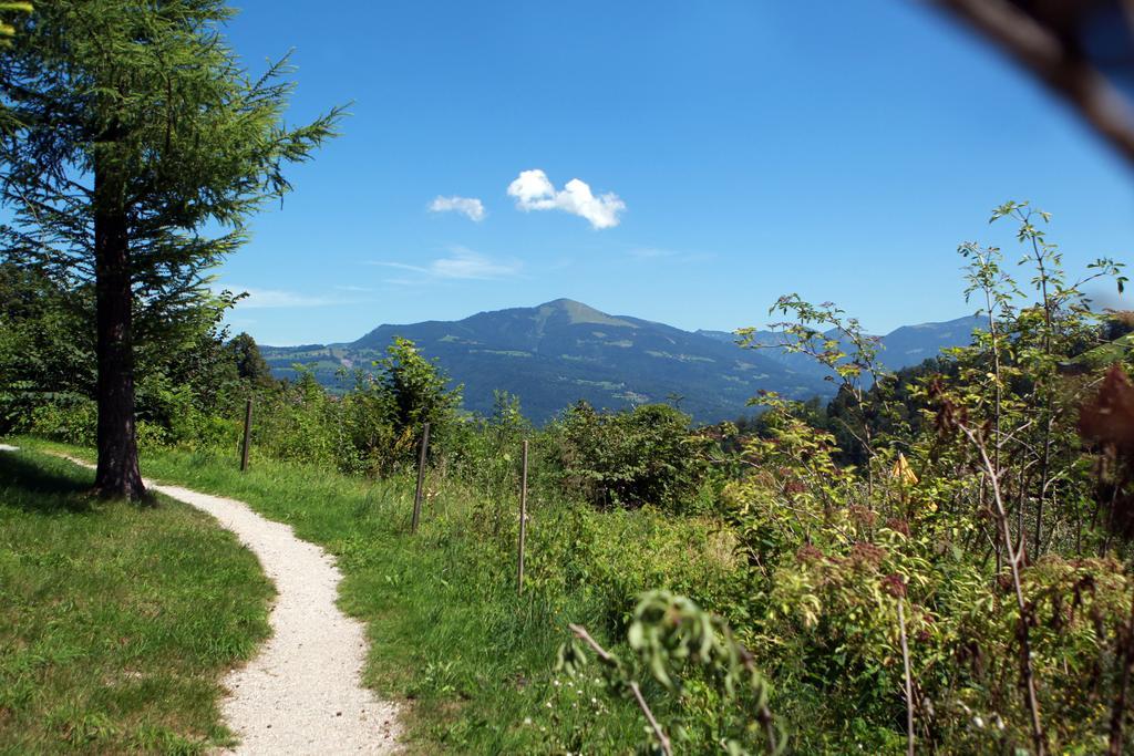 Kurhotel St. Josef Durrnberg Esterno foto